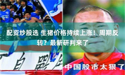 配资炒股选 生猪价格持续上涨！周期反转？最新研判来了