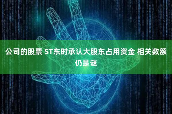 公司的股票 ST东时承认大股东占用资金 相关数额仍是谜