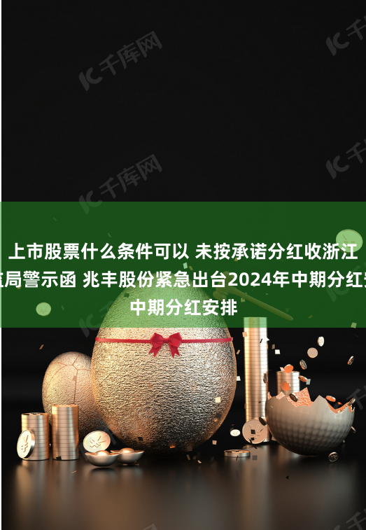 上市股票什么条件可以 未按承诺分红收浙江证监局警示函 兆丰股份紧急出台2024年中期分红安排