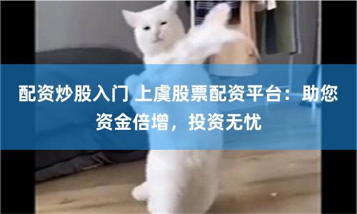 配资炒股入门 上虞股票配资平台：助您资金倍增，投资无忧